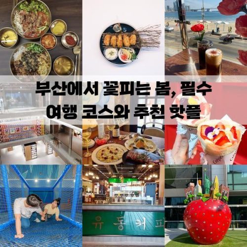 대표 썸네일