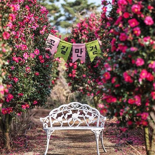 대표 썸네일
