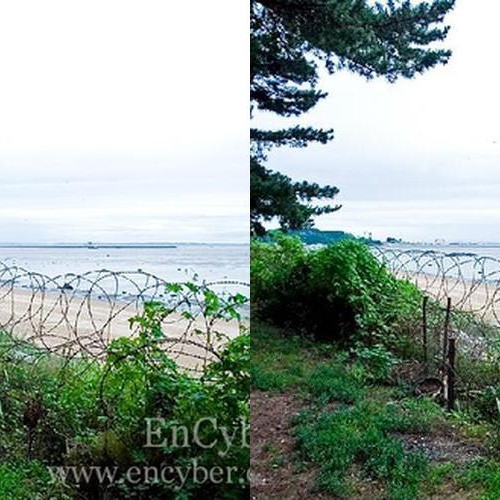 대표 썸네일