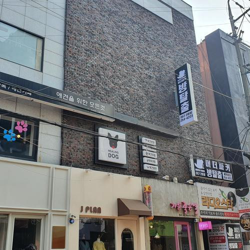 대표 썸네일