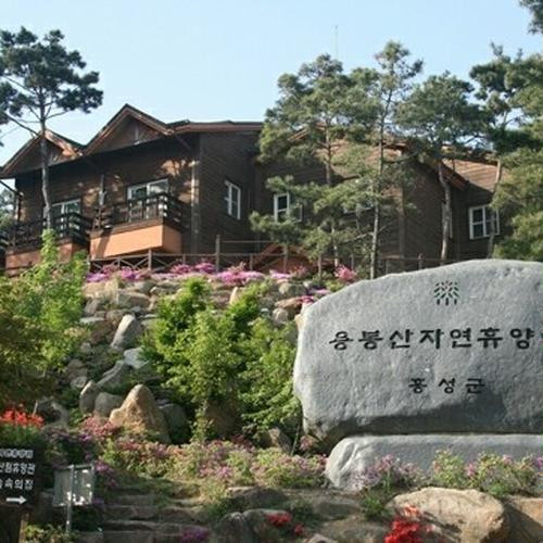 대표 썸네일