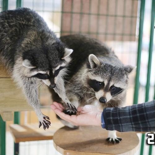 대표 썸네일