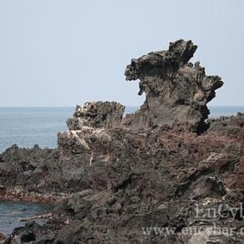 대표 썸네일