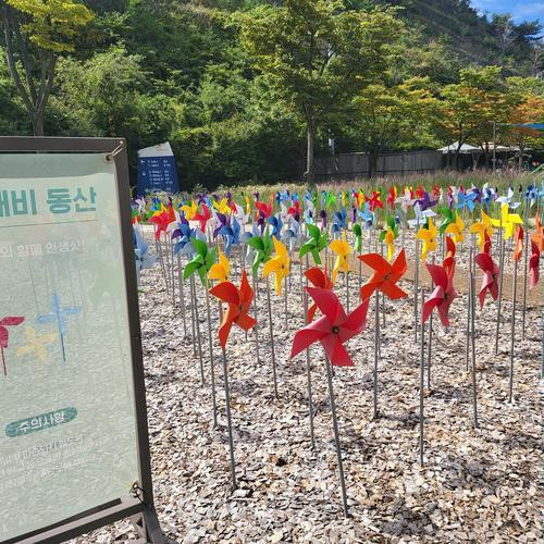 대표 썸네일