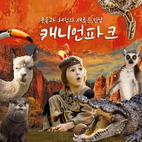 대표 썸네일