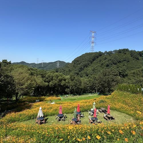 대표 썸네일
