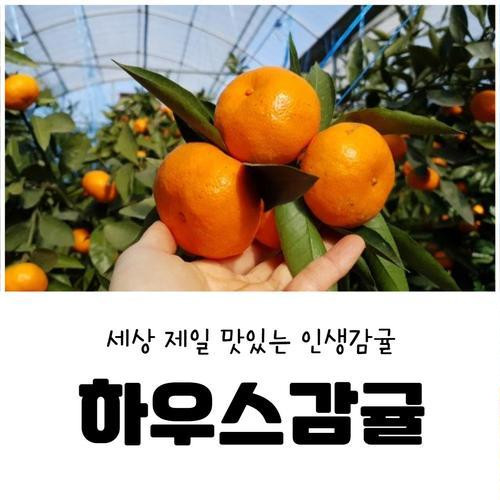 대표 썸네일