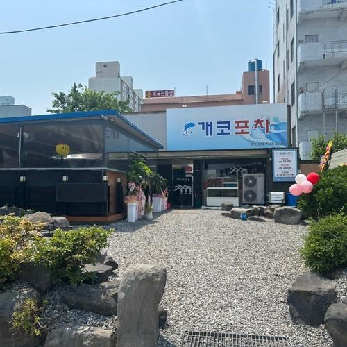 대표 썸네일
