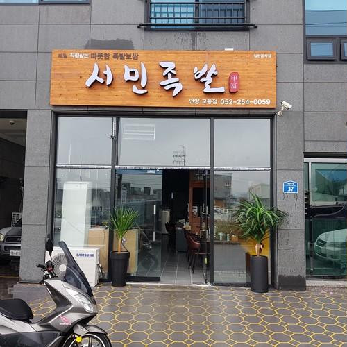 대표 썸네일