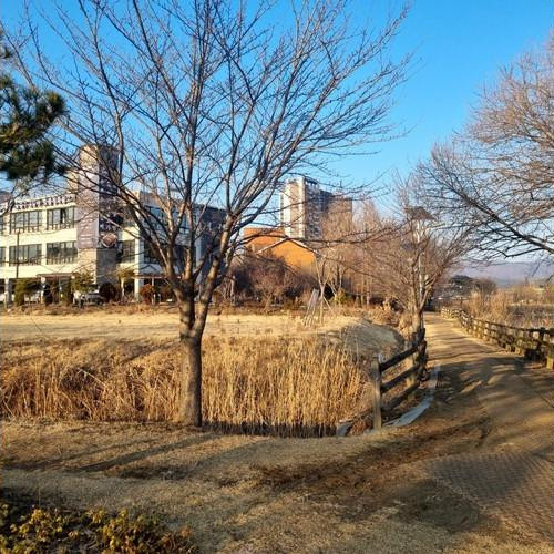 대표 썸네일