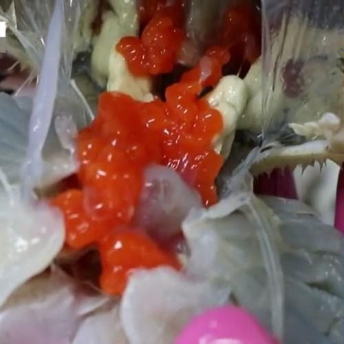 대표 썸네일
