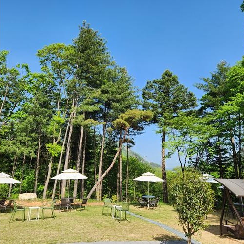 대표 썸네일