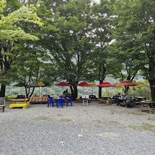 대표 썸네일