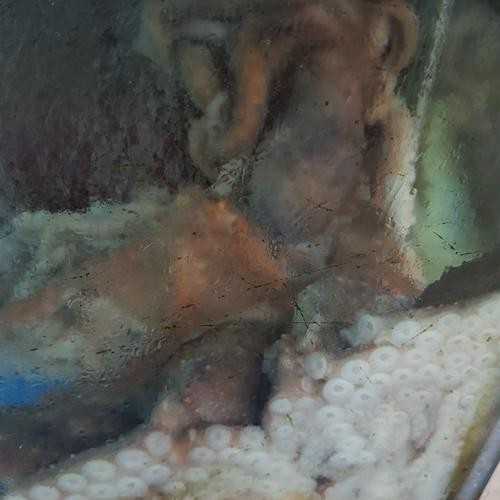 대표 썸네일