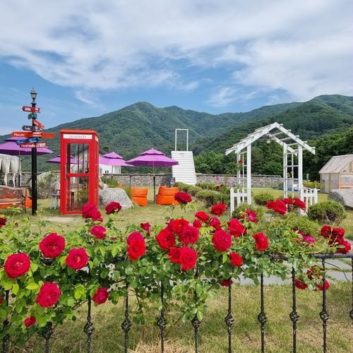 대표 썸네일
