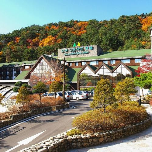 대표 썸네일