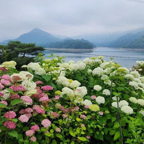 대표 썸네일