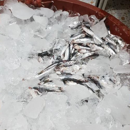 대표 썸네일