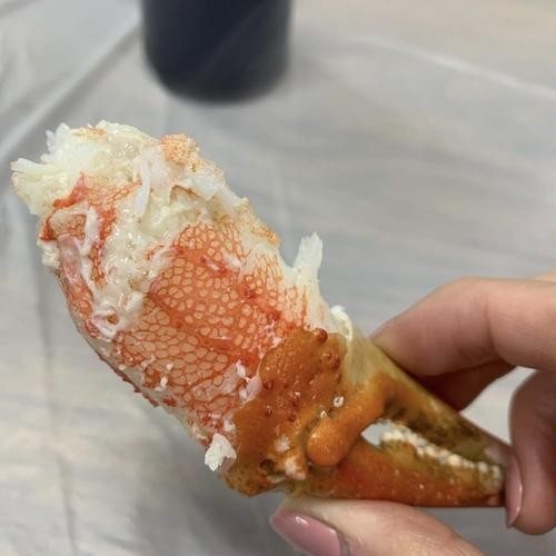 대표 썸네일
