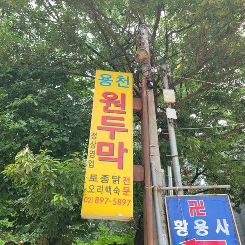 대표 썸네일