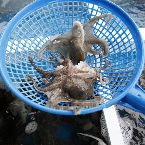 대표 썸네일