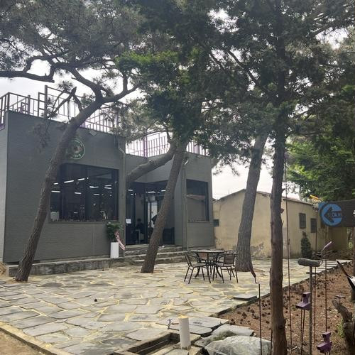 대표 썸네일