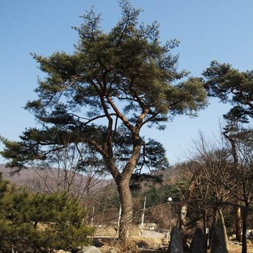 대표 썸네일