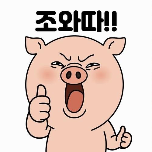 대표 썸네일