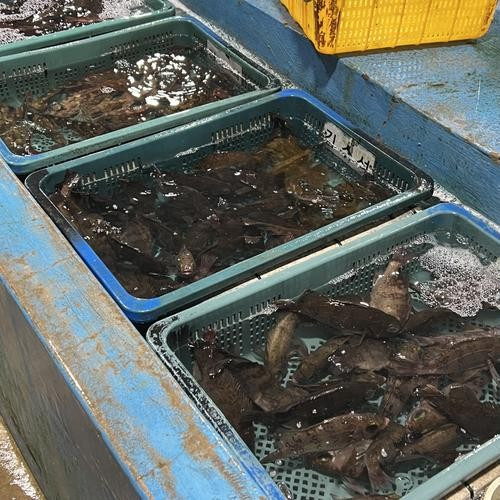 대표 썸네일