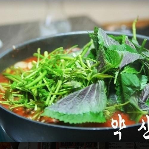 대표 썸네일