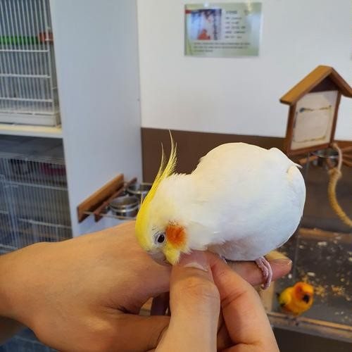 대표 썸네일