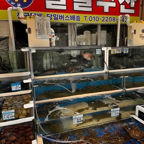 대표 썸네일