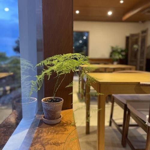 대표 썸네일