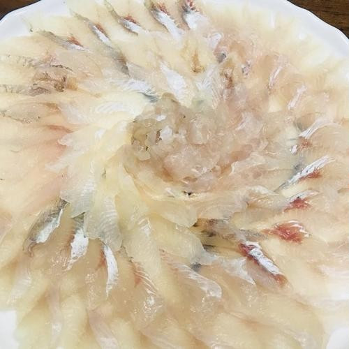 대표 썸네일