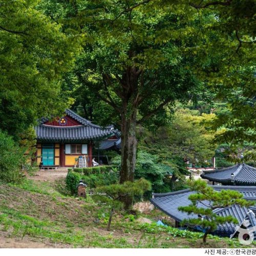 대표 썸네일