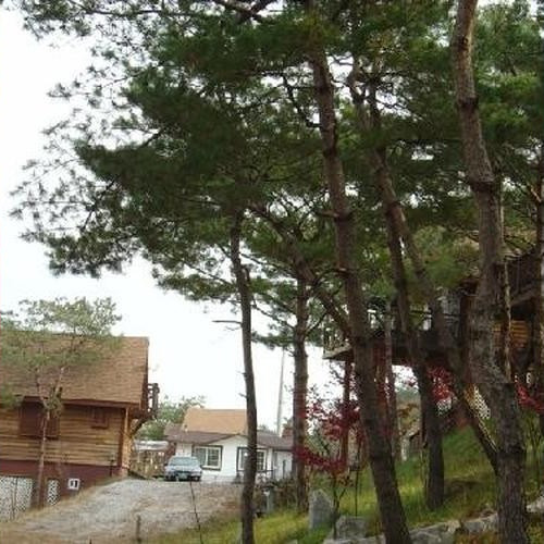 대표 썸네일