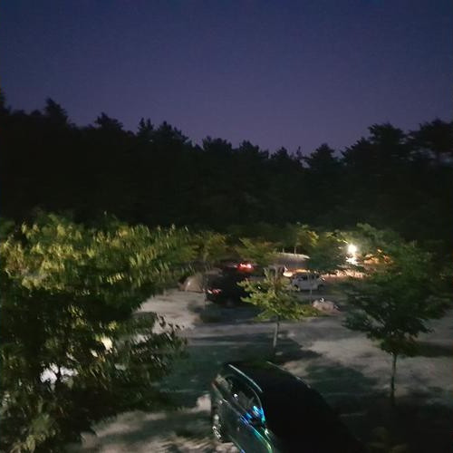 대표 썸네일