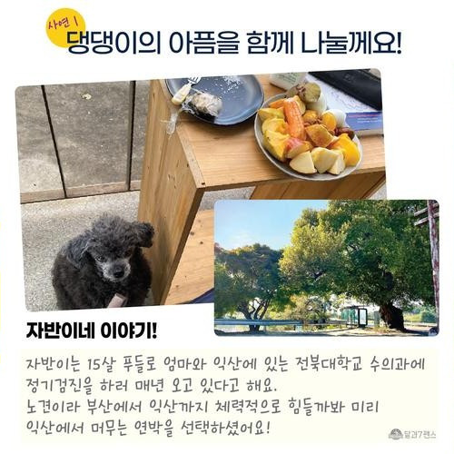 대표 썸네일