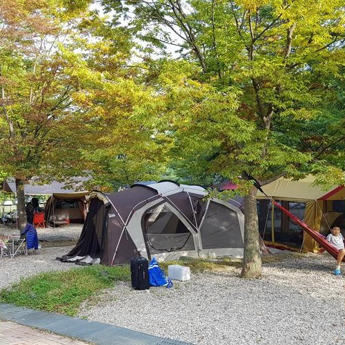 대표 썸네일
