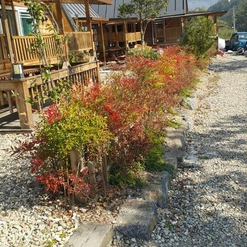 대표 썸네일