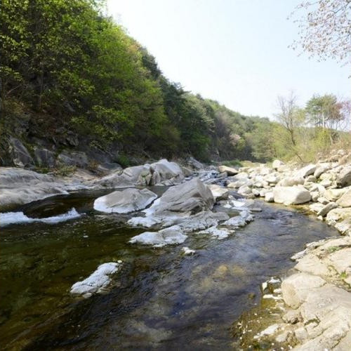 대표 썸네일