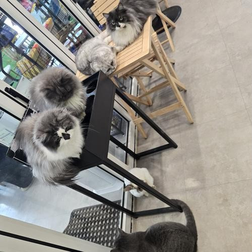 대표 썸네일
