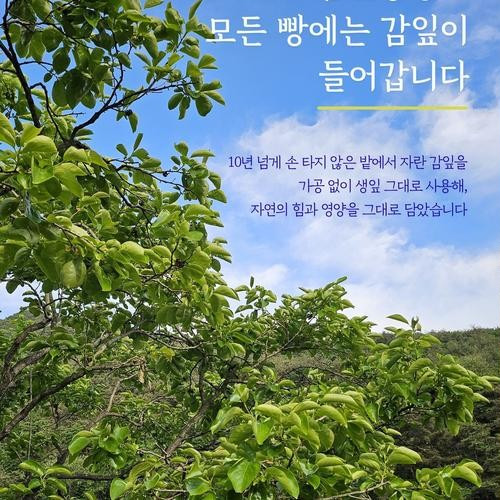 대표 썸네일