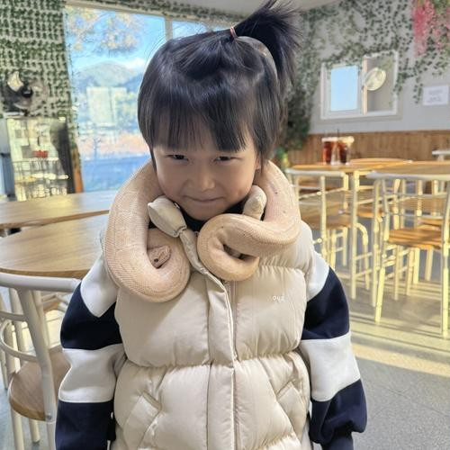 대표 썸네일