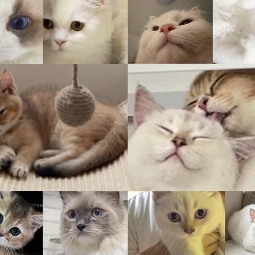 대표 썸네일