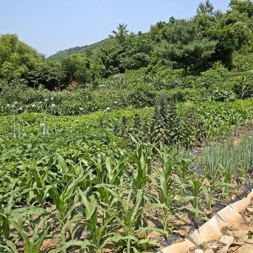 대표 썸네일