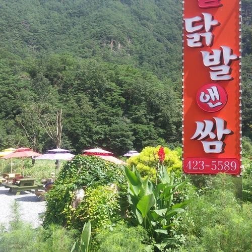 대표 썸네일
