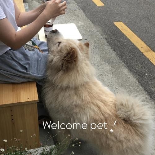 대표 썸네일