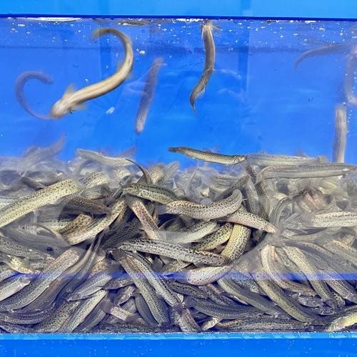 대표 썸네일