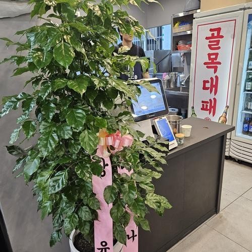 대표 썸네일